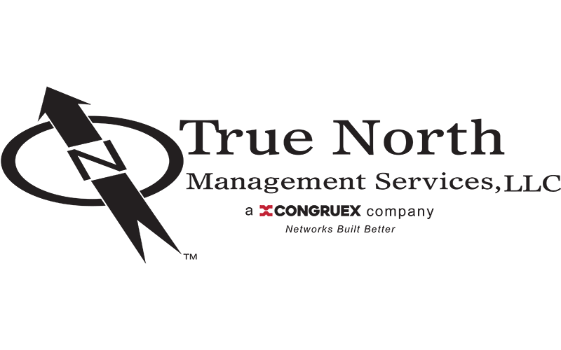 True North Management logo